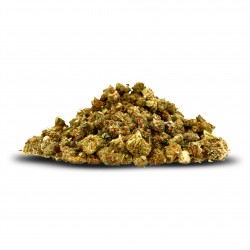 Kleine CBD Blüten - indoor