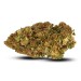 CBD Flower, Girl Scoot Cookies indoor - CBD nicht teuer