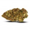 CBD Flower, Girl Scoot Cookies indoor - CBD nicht teuer