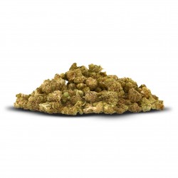 Pop Corn Bud MSC