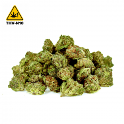 Mini Bud Cookie – THV-N10...