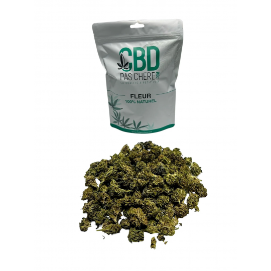 25g Small Bud - Jack Herer