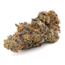 Purple Haze CBD