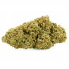 CBD-Blüten Orange Bud - Gewächshaus mit 19% CBD