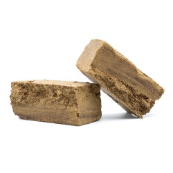 Cheese Haze – CBD Hasch