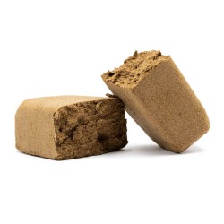 Critical Hash – CBD Hasch
