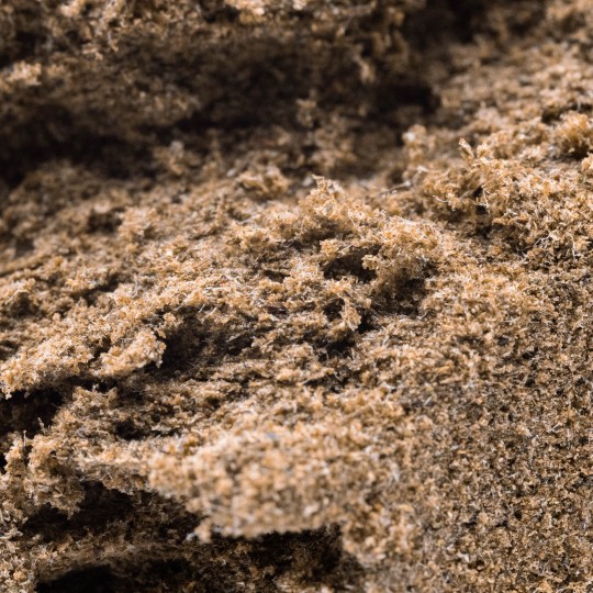 Marocco Haze - Gunstiges-CBD