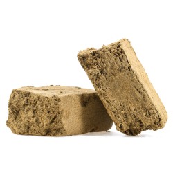 Kief Marocco – CBD Hasch