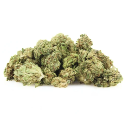 Mini Bud AK-OG CBD+