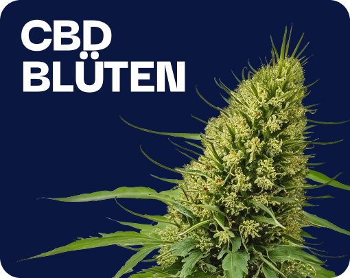 Fleurs de CBD