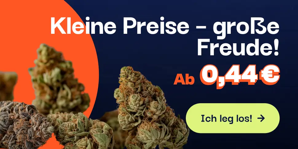 CBD pas chere offre du moment