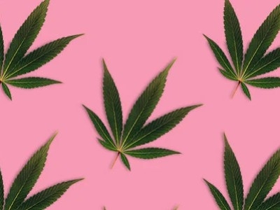 Cannabidiol: Welche Auswirkungen hat das auf die Libido?